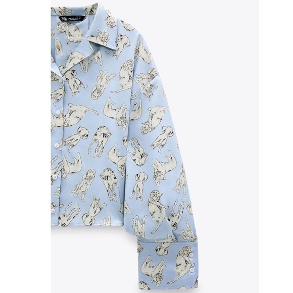 Zara - Dog Pattern Printed Sky Blue TRF Shirt - Picture 4 of 11